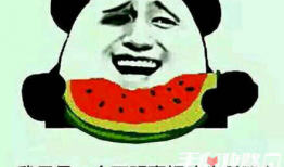 娱乐圈吃瓜的梗叫什么来着,揭秘那些令人捧腹的幕后故事